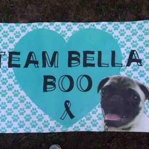 Team Page: Bella Boo
